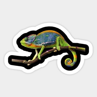 Funny Chameleon Sticker